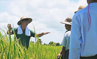 #15|Marubeni Myanmar Fertilizer