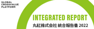 統合報告書